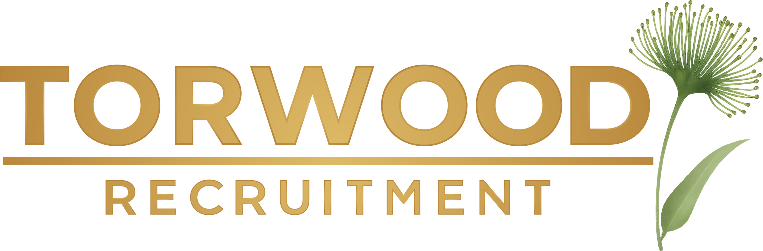 Torwood Recruitment